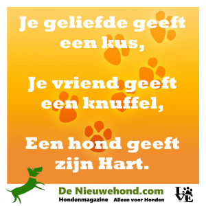 Een hond geeft je zijn hart