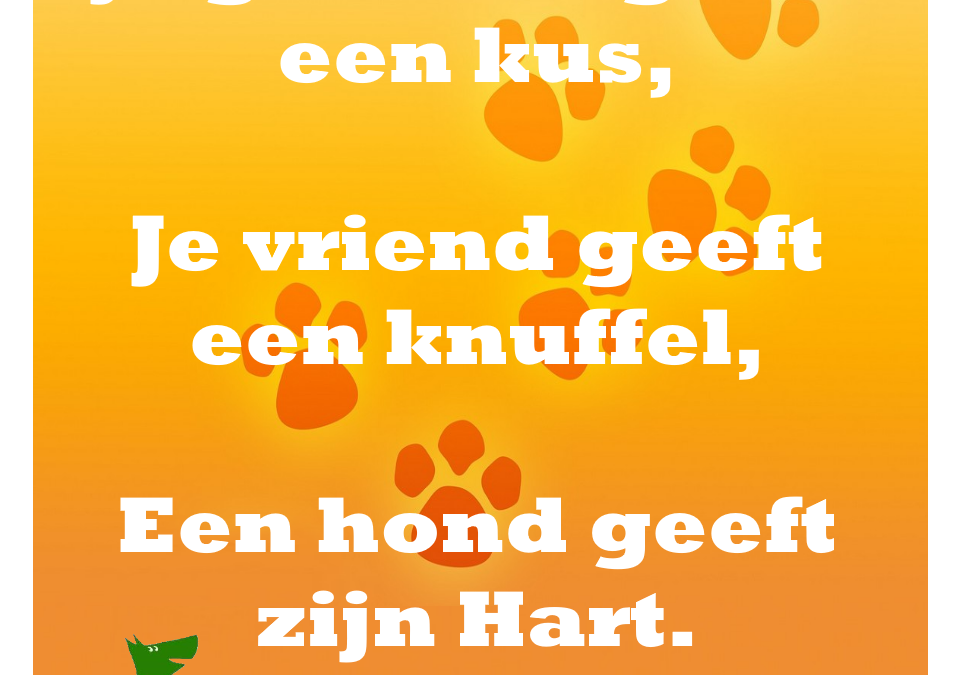 Een hond geeft je zijn hart