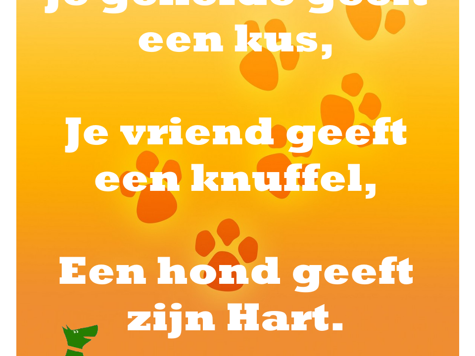 Een hond geeft je zijn hart