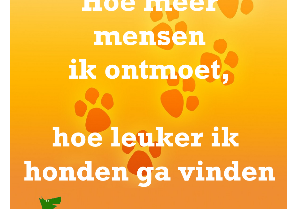 Hoe meer mensen ik ontmoet hoe leuker ik honden ga vinden