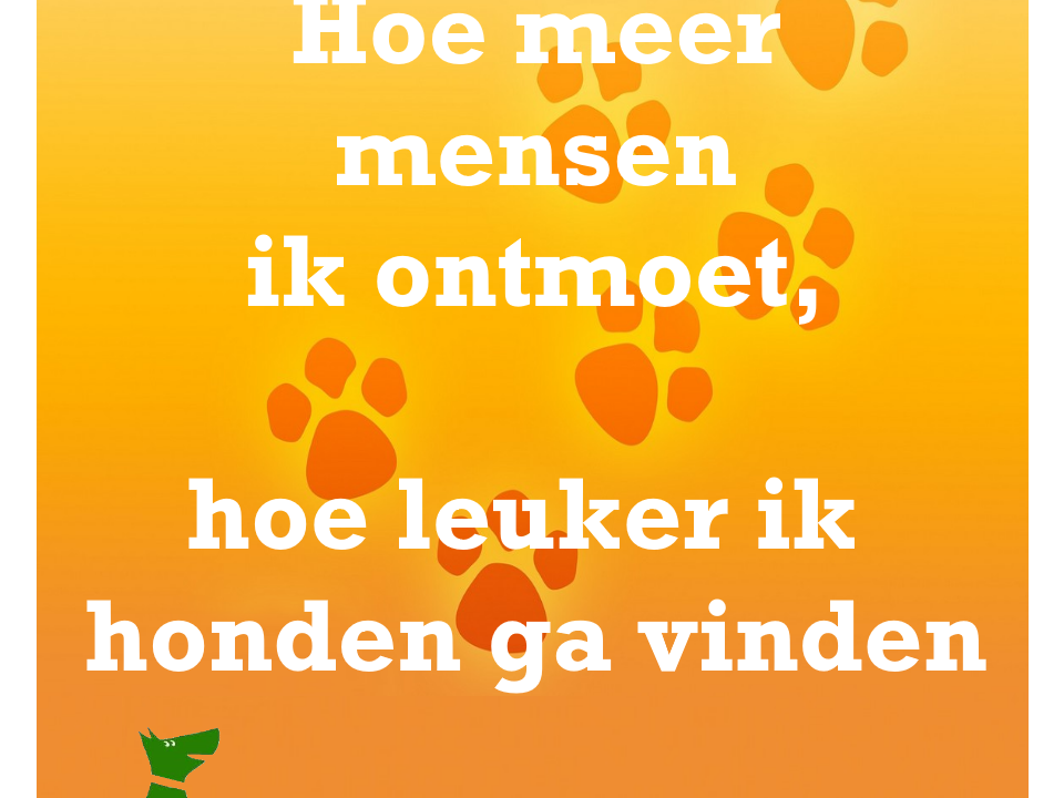 Hoe meer mensen ik ontmoet hoe leuker ik honden ga vinden