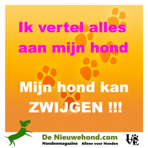 Ik vertel alles aan mijn hond mijn hond kan zwijgen