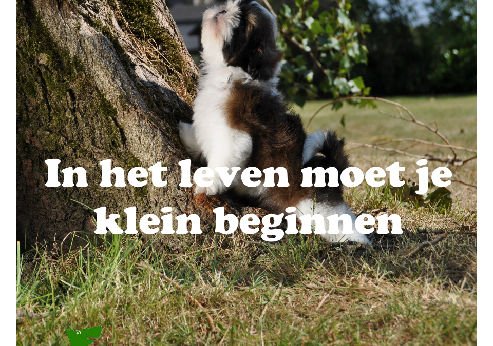 In het leven moet je klein beginnen