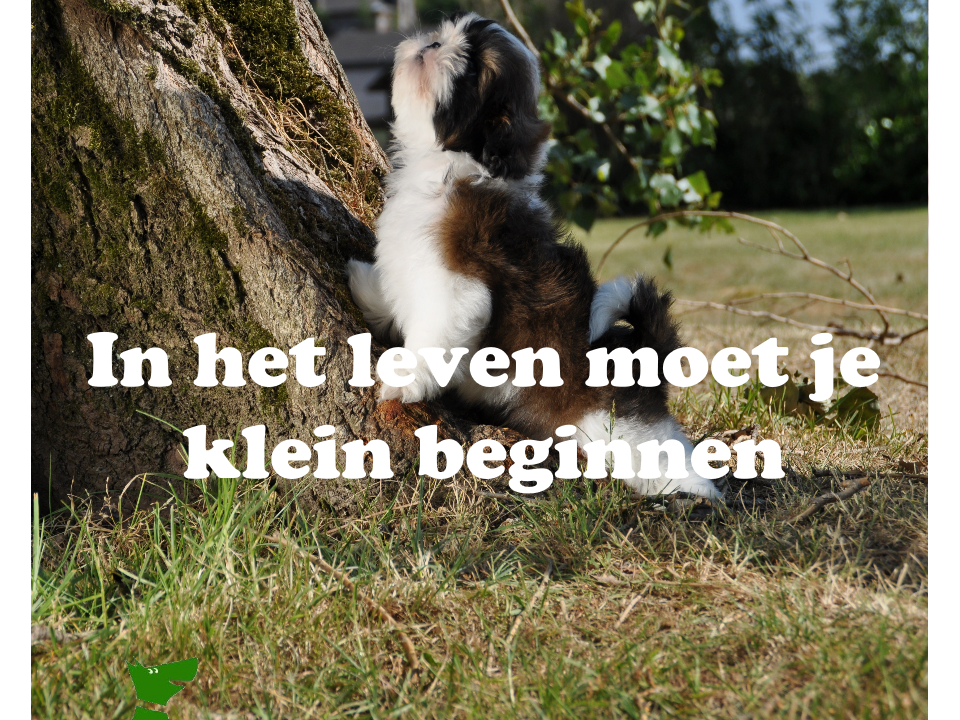 In het leven moet je klein beginnen