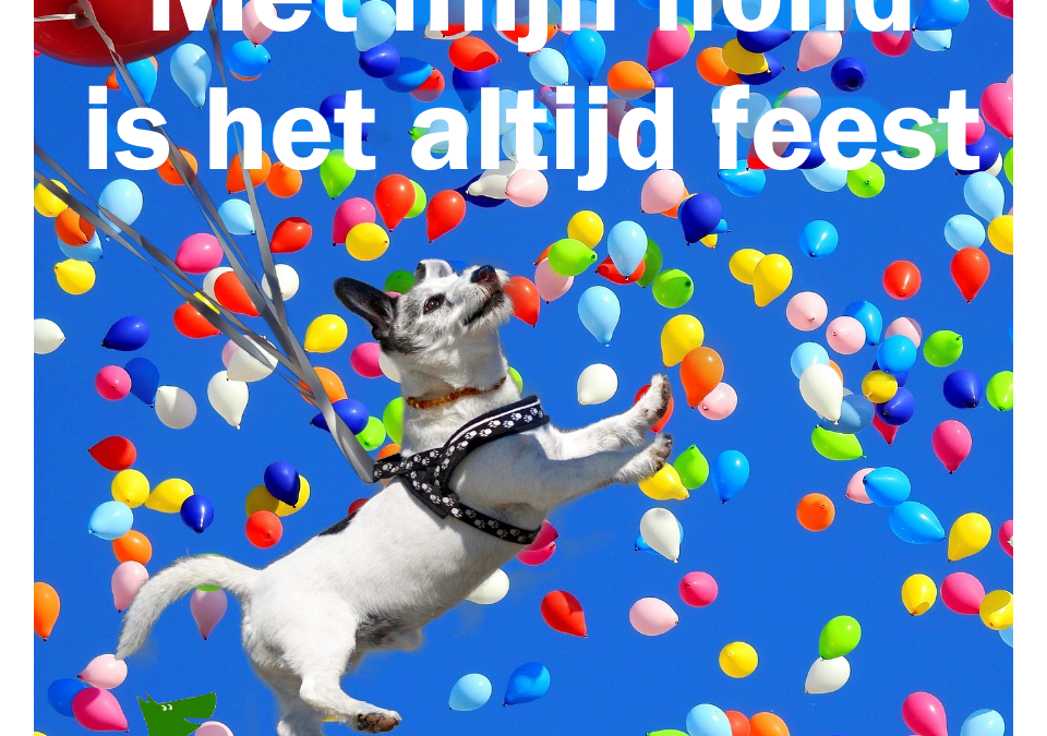 Met mijn hond is het altijd feest