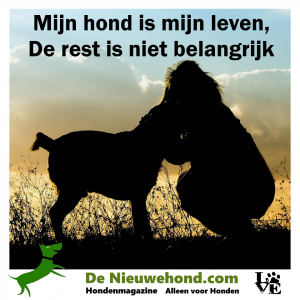 Mijn hond is mijn leven, de rest is niet belangrijk