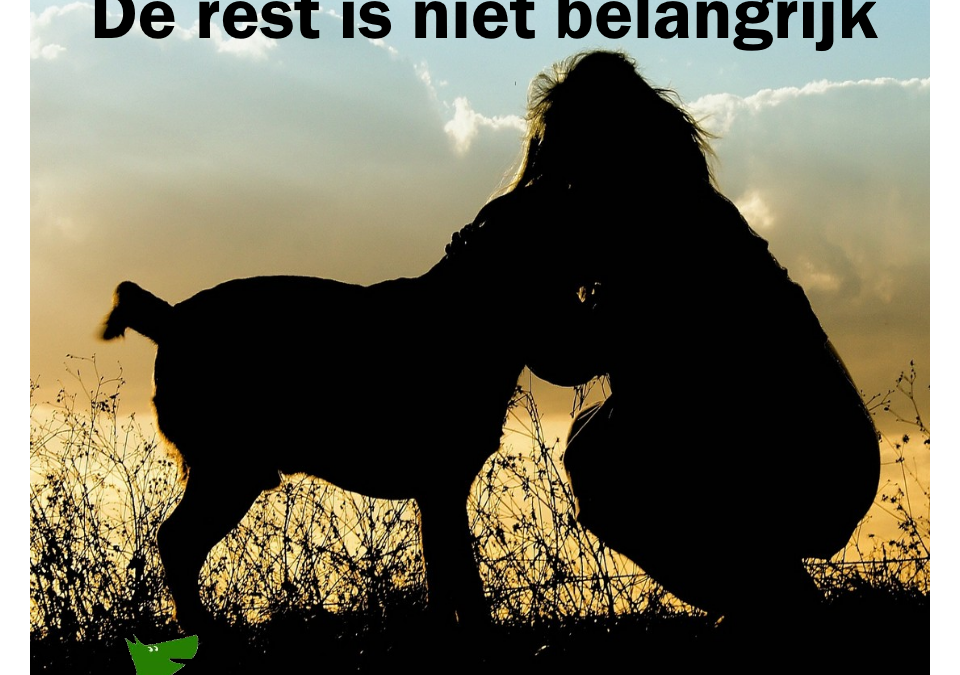 Mijn hond is mijn leven, de rest is niet belangrijk