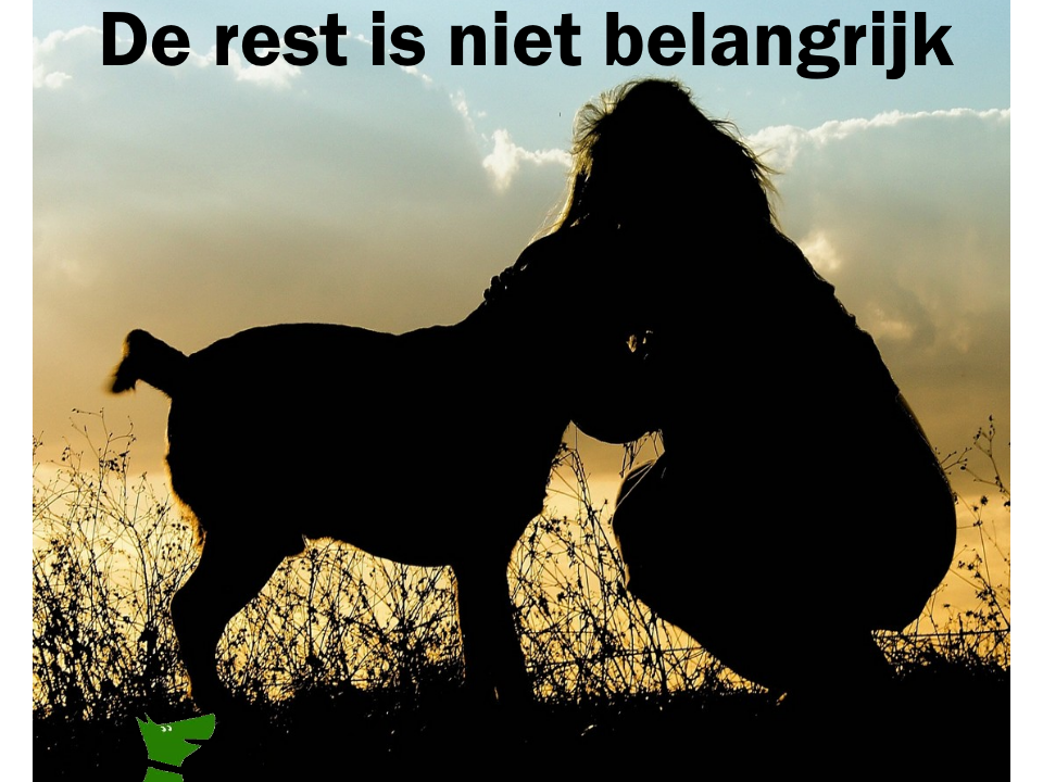 Mijn hond is mijn leven, de rest is niet belangrijk