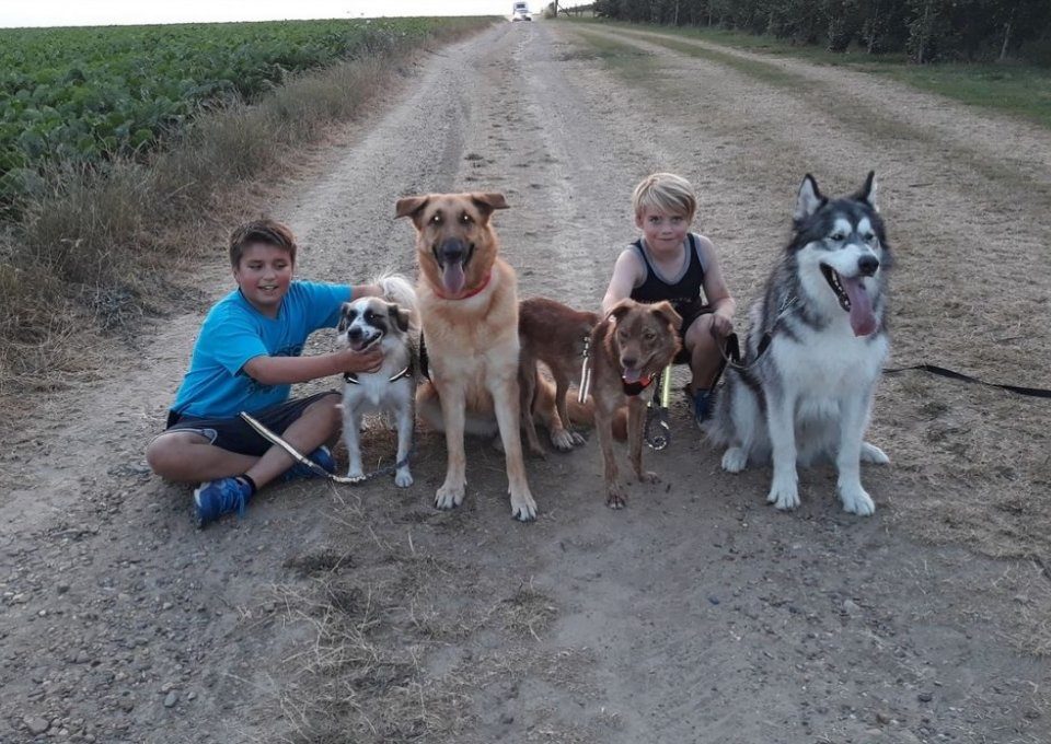 Evelien met kinderen en adoptiehonden - evelien kinderen en honden 1024x701 1
