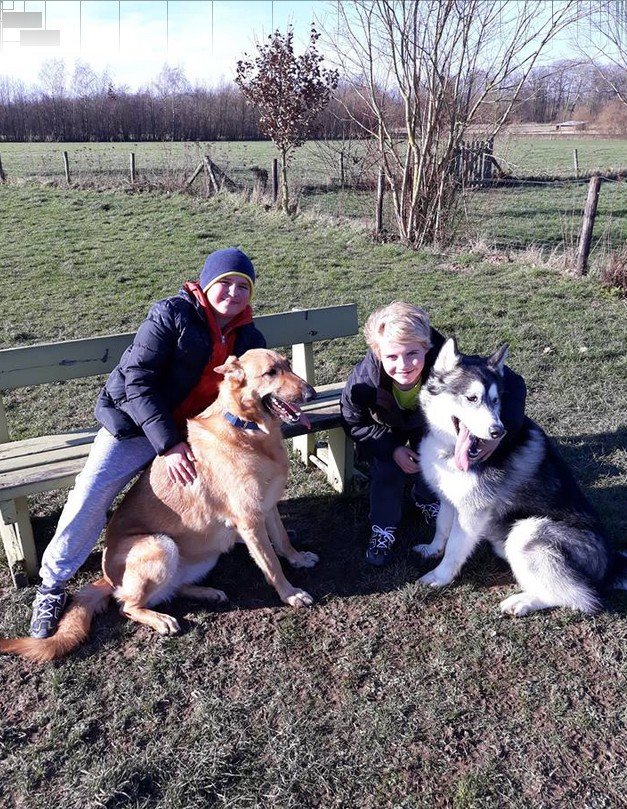 evelien kinderen en honden bank