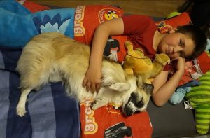 evelien kinderen en honden bed - evelien kinderen en honden bed