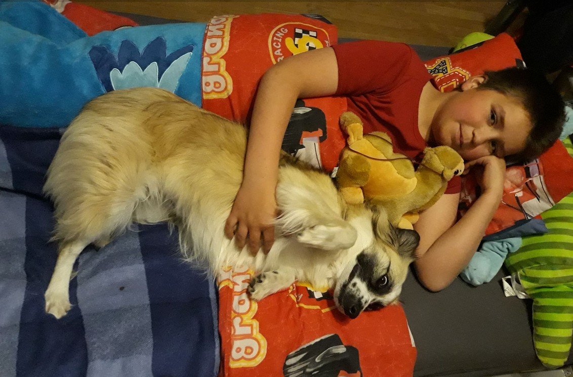 evelien kinderen en honden bed