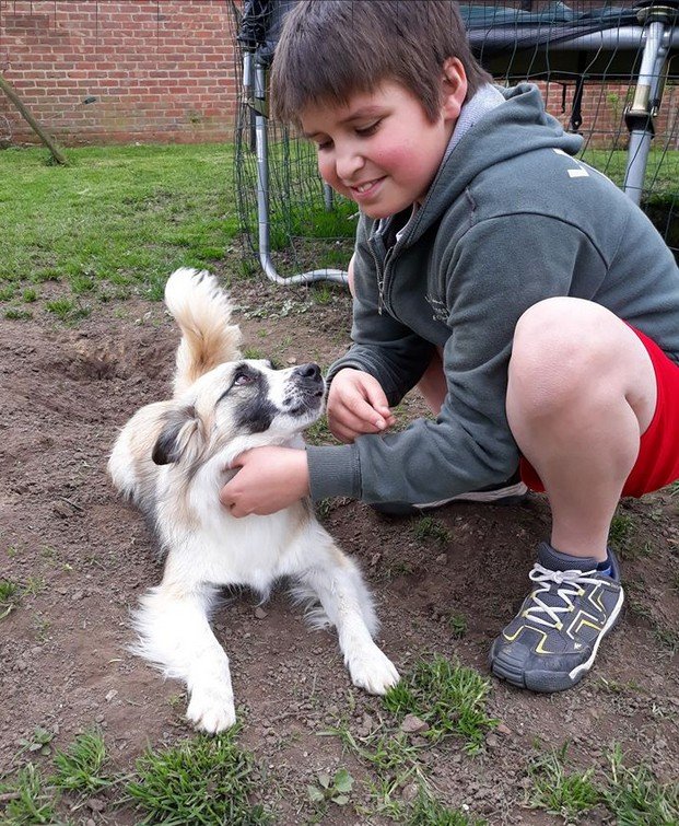 evelien kinderen en honden spelen