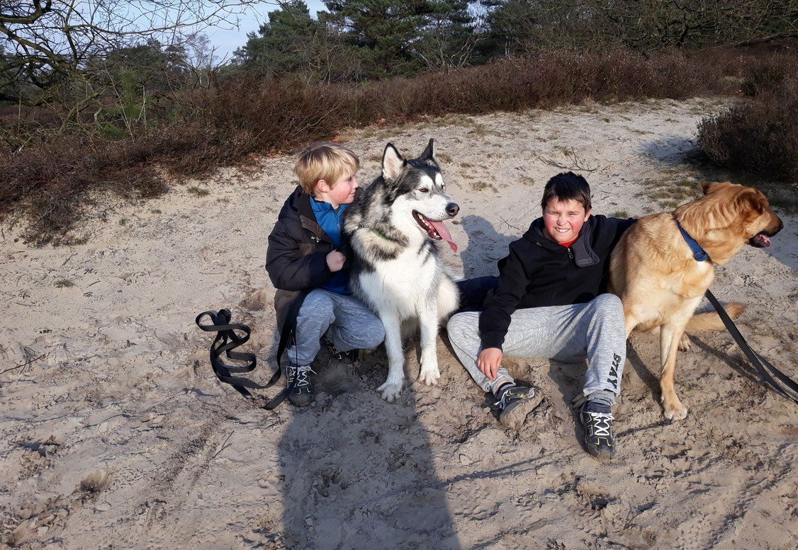 evelien kinderen en honden strand