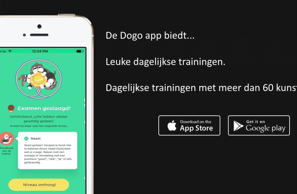 dogo de positieve hondentrainer