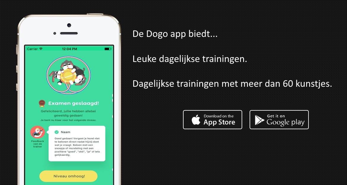 dogo de positieve hondentrainer