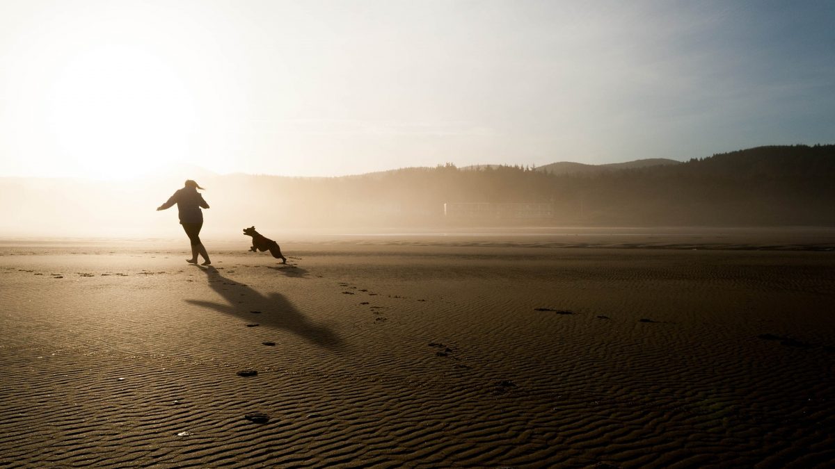 Afscheid nemen van je hond, hoe en wanneer ? - waardig afscheid nemen