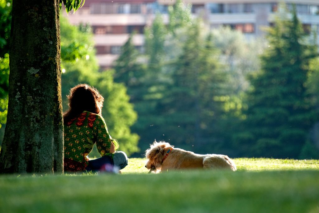 Honden houden je gezond - hondenoppas hondenopvang dogsitter