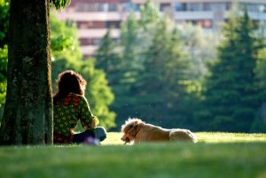 hondenoppas hondenopvang dogsitter