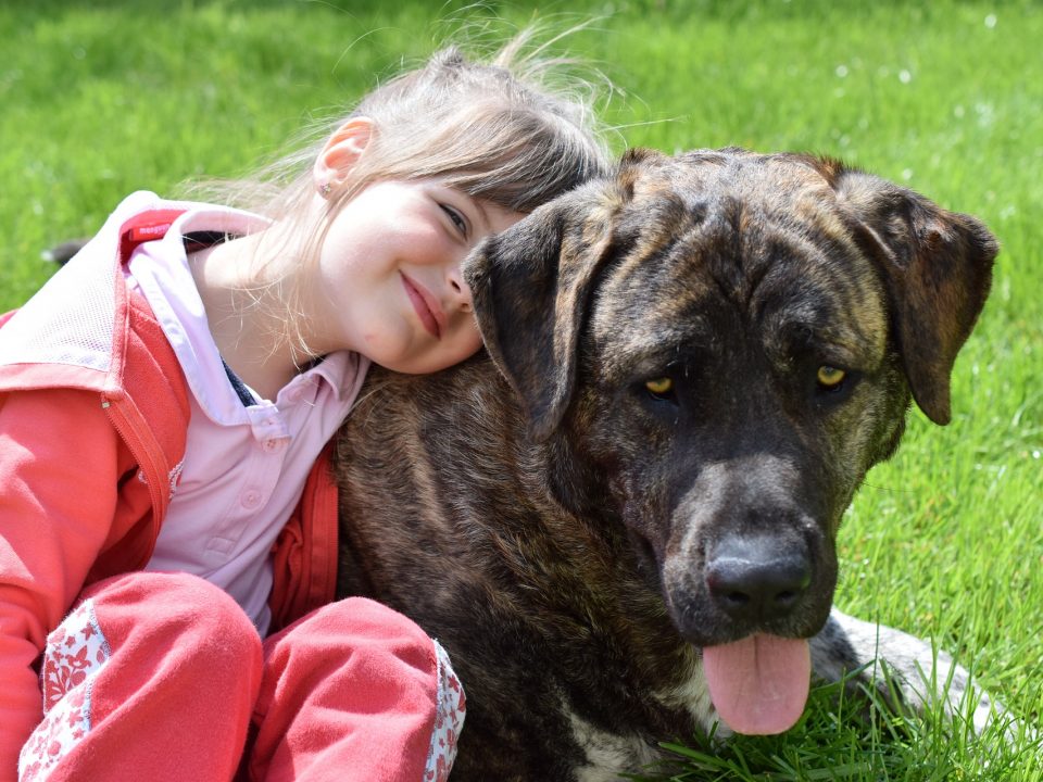 kinderen met huisdieren