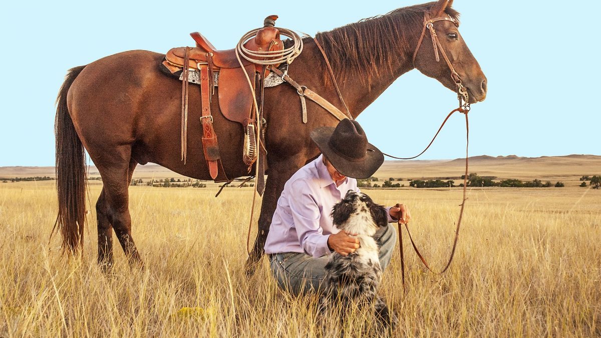 Horse and Dog Trail