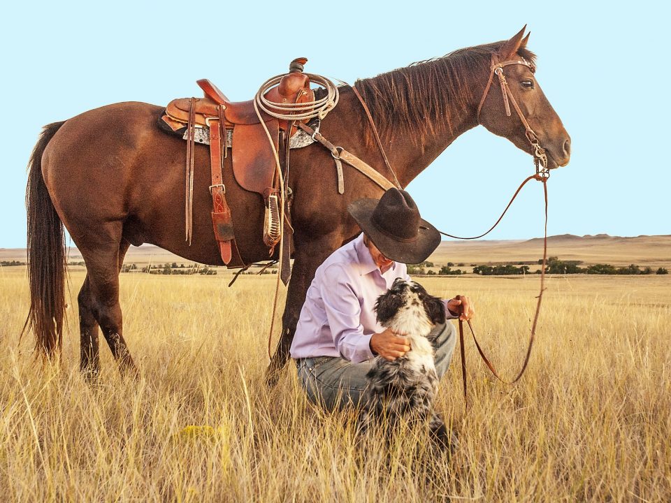 Horse and Dog Trail