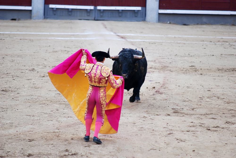 Alano Espanol afkomst - stierenvechten Depositphotos_230743368_S