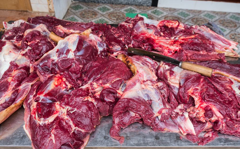 Voeding Spaanse Bulldog of Alano Espanol rauw vlees Depositphotos_247876456_S.jpg