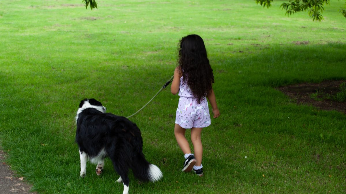 Kan ik besmet worden met het Coronavirus via mijn hond