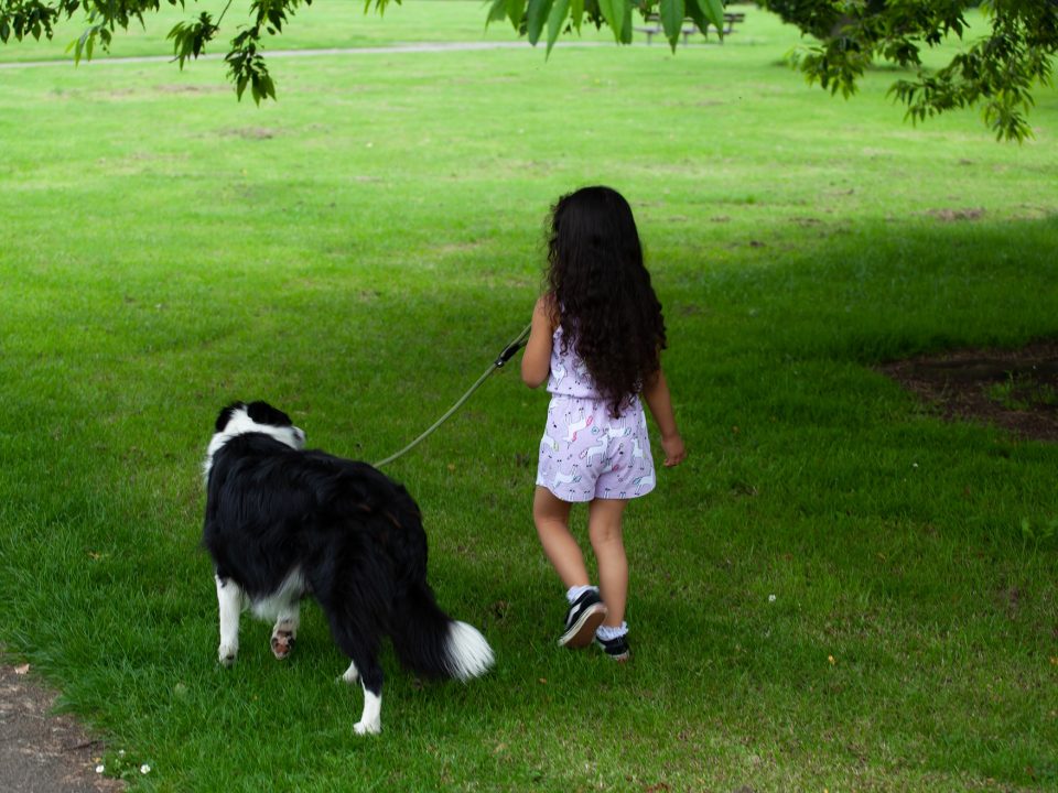 Kan ik besmet worden met het Coronavirus via mijn hond