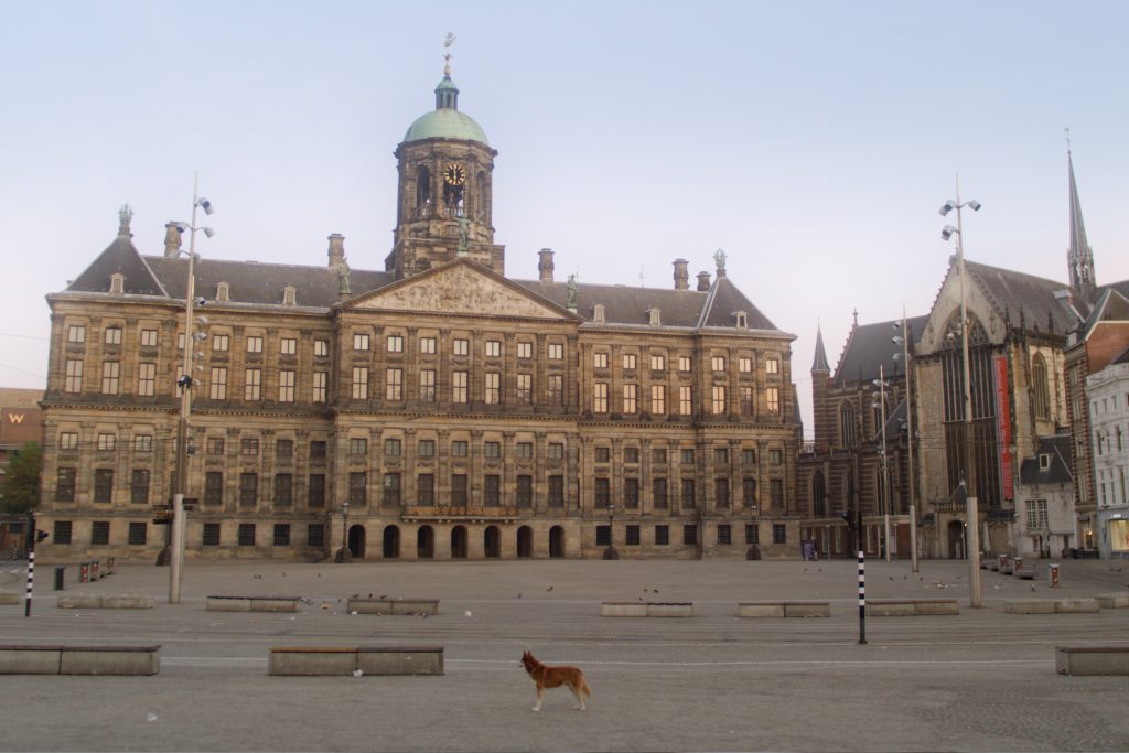 Geen Hond in Amsterdam kortfilm