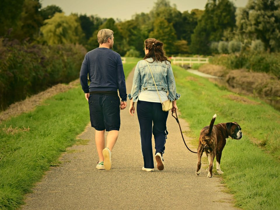 Gezond blijven dankzij de hond