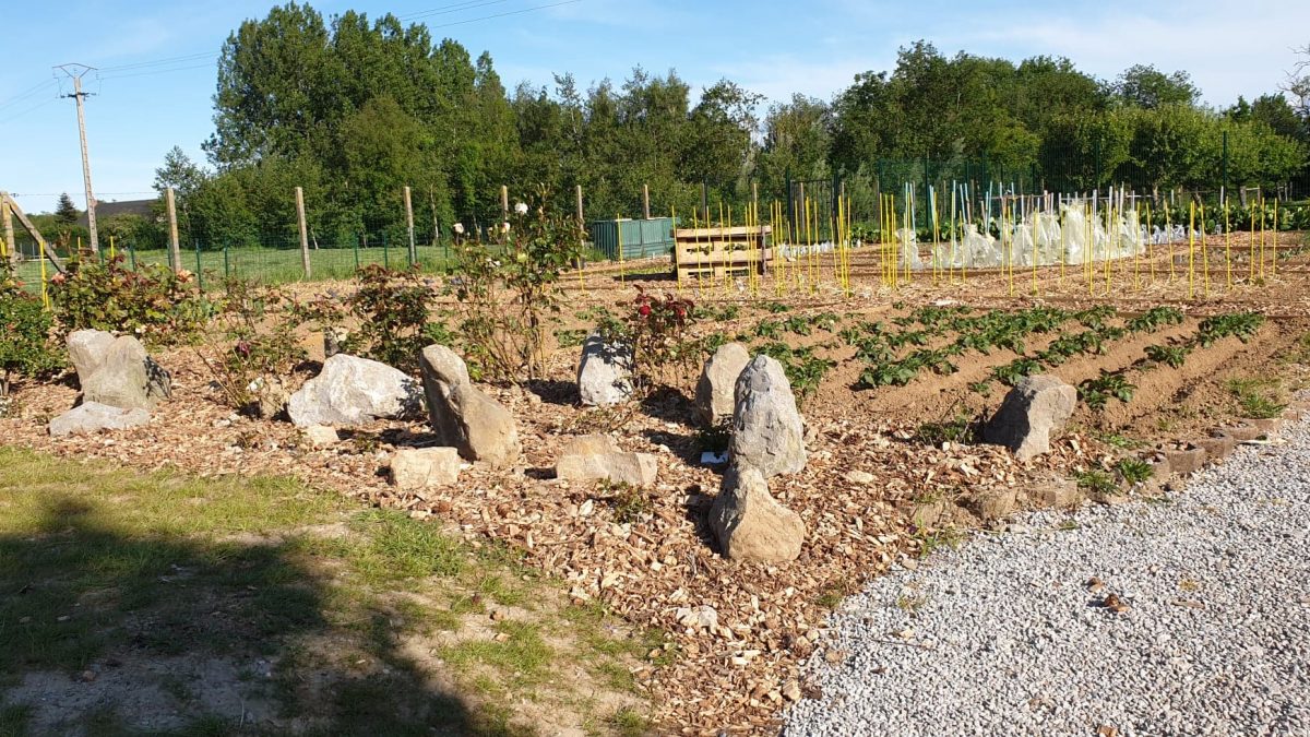 Praktische inzichten voor milieu- en landbouwonderzoek gerelateerd aan honden - Vakantie dichtbij maison terranova tuin