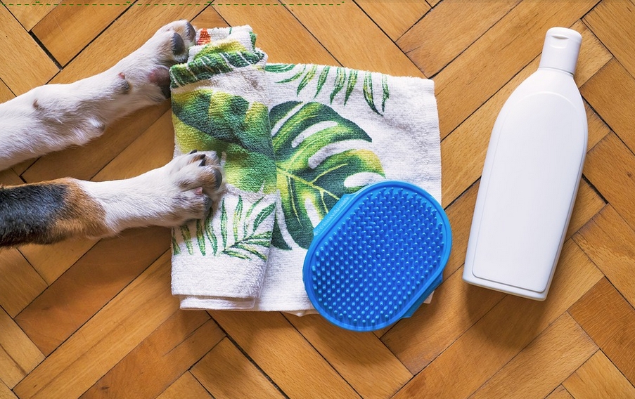 puppy shamppo bij de aanschaf van een hond