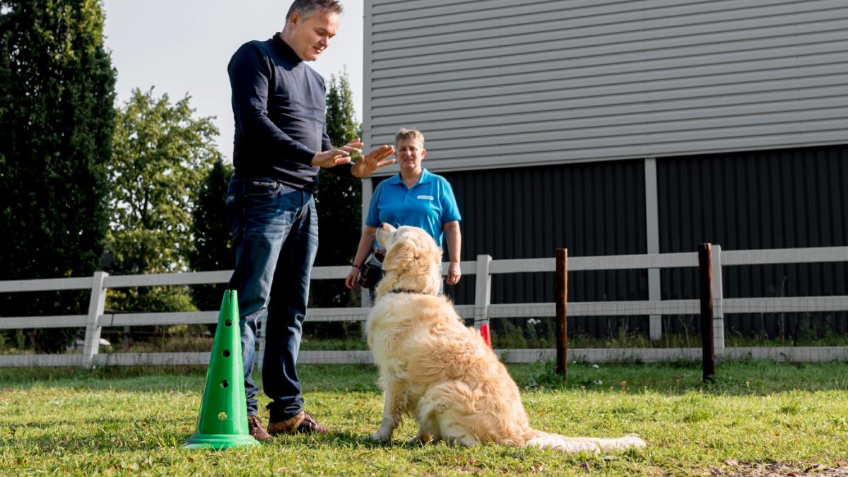 Opleiding therapiehond - Ik hou te veel van deze hondenbaan Baas-en-Beest-Fotografie_4648