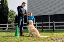 Opleiding therapiehond - Ik hou te veel van deze hondenbaan Baas-en-Beest-Fotografie_4648