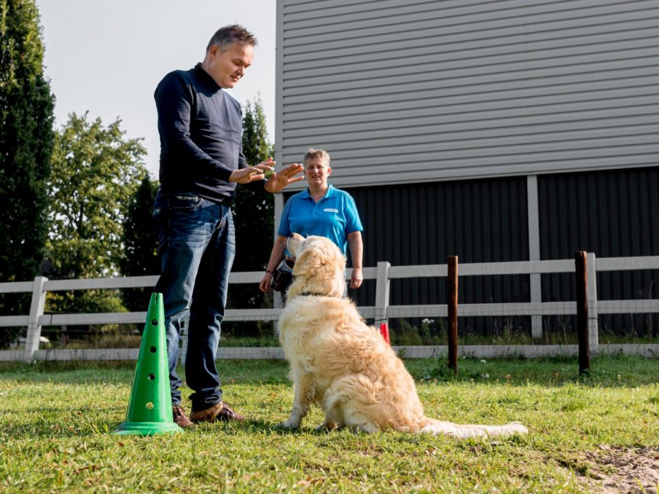 Opleiding therapiehond - Ik hou te veel van deze hondenbaan Baas-en-Beest-Fotografie_4648