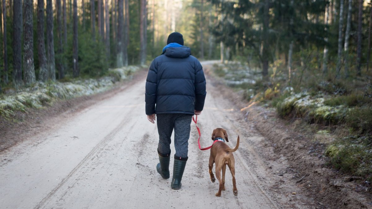 Verzekerd met de hond op pad