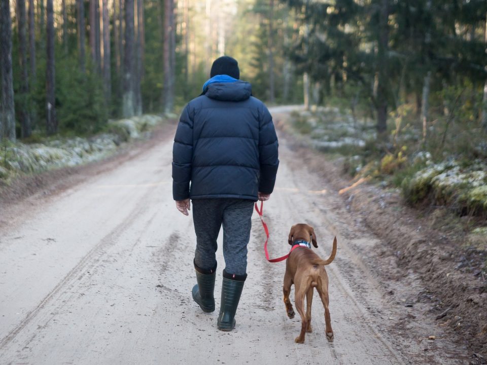 Verzekerd met de hond op pad