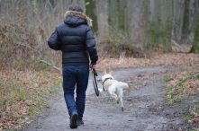 Lange wandelingen in de natuur: goed voor hond en baasje