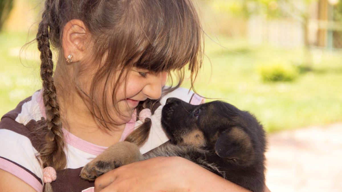 verzekering voor je hond