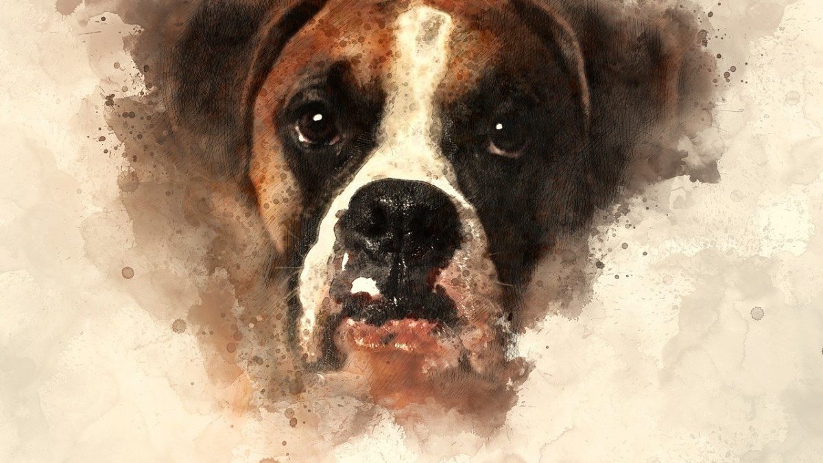 de mooiste fotos van je hond afdrukken op een canvas watercolour-4751352_1280