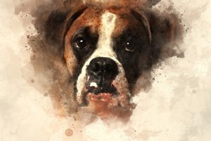 de mooiste fotos van je hond afdrukken op een canvas watercolour-4751352_1280