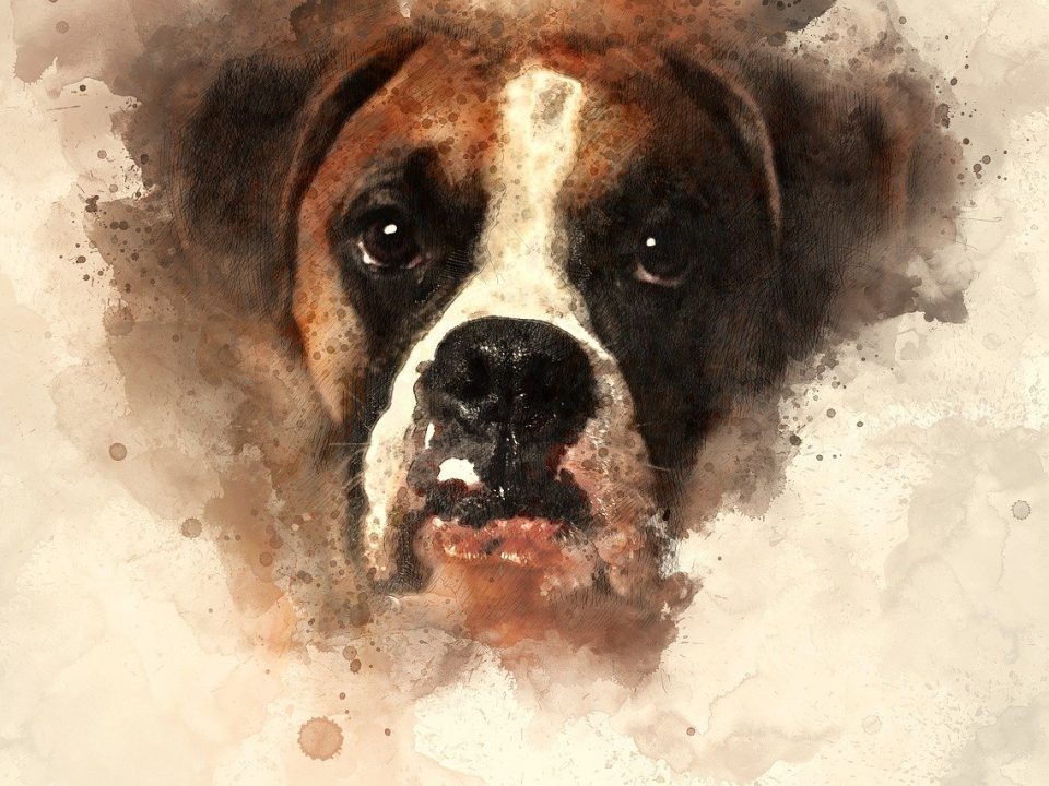 de mooiste fotos van je hond afdrukken op een canvas watercolour-4751352_1280