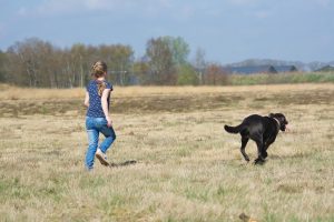 Hoe maak je van elke wandeling met je hond een succes