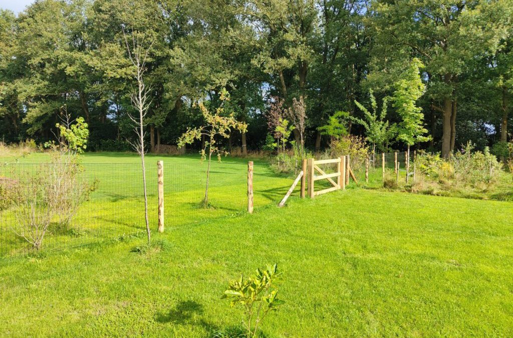 Natuurlijke hondenhekken